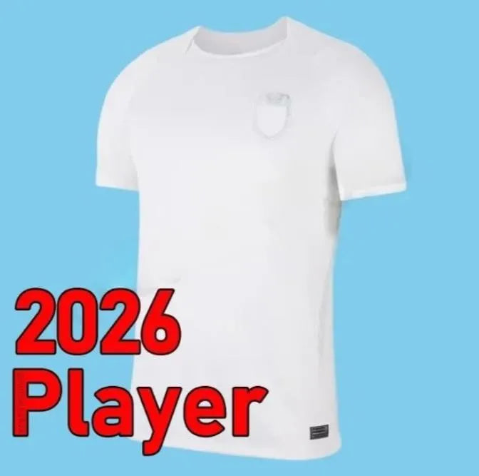 Norway jersey 2026 HAALAND World Cup soccer jerseys SORLOTH NUSA AASGAARD HORN M - SitterJersey.com
