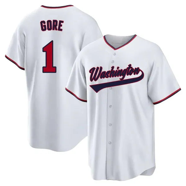 Custom Men/Youth/Women 2024-25 Baseball Jerseys Any Name Number Stitched America - SitterJersey.com