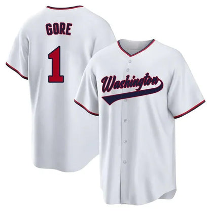 Custom Men/Youth/Women 2024-25 Baseball Jerseys Any Name Number Stitched America - SitterJersey.com