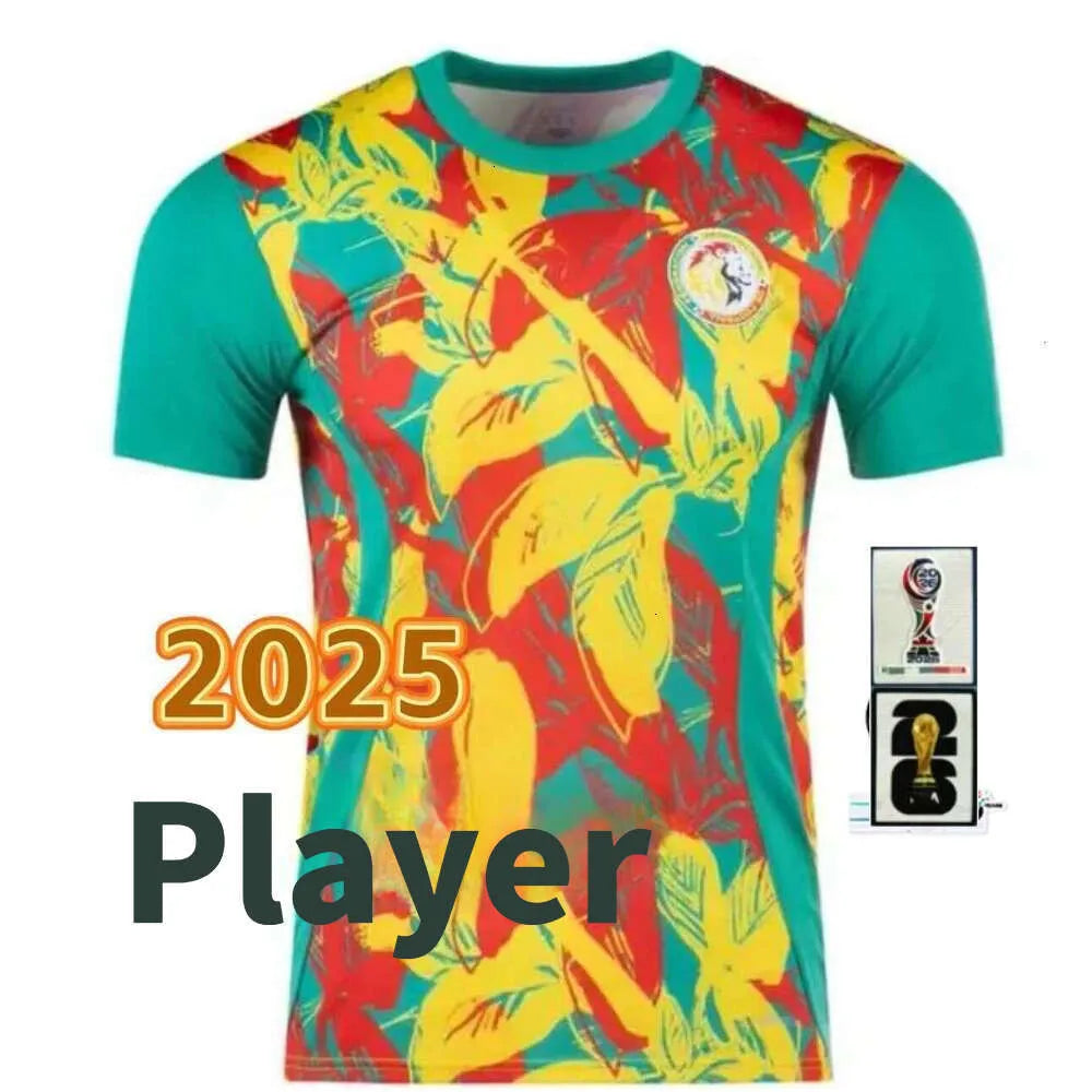 2 Star Senegal Soccer Jerseys 2025 2026 National Team SARR P.M.SARR N.JACKSON DI - SitterJersey.com