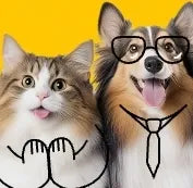 ewqeq ffsdf dsads Breathable Soccer Jersey for Training and Matches - SitterJersey.com