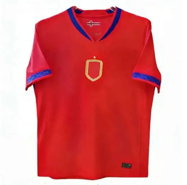 Norways HAALAND 2026 World Cup soccer jerseys SORLOTH NUSA AASGAARD HORN MYHRE D - SitterJersey.com