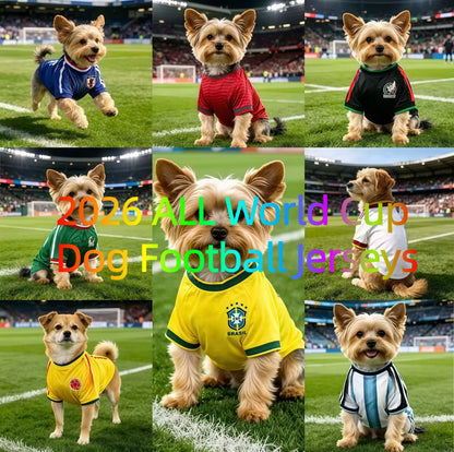 2026 Spain LAMINE YAMAL Soccer Jerseys 2026 Home WILLIAMS JR MORATA FABIAN JOSEL - SitterJersey.com