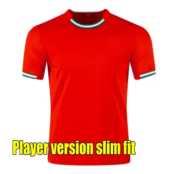 2026 Portugal soccer jerseys B.FERNANDES R. Leao JOAO FELIX BERMARDO camisa de f - SitterJersey.com