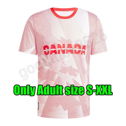 2026 New World Cup Canada Soccer Jerseys National Team 26 27 DAVIES JDAVID LARIN - SitterJersey.com