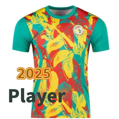 2 Star Senegal Soccer Jerseys 2025 2026 National Team SARR P.M.SARR N.JACKSON DI - SitterJersey.com