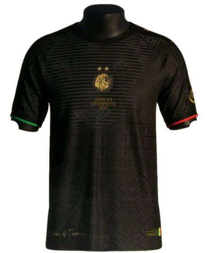 2 Star Senegal Soccer Jerseys 2025 2026 National Team SARR P.M.SARR N.JACKSON DI - SitterJersey.com