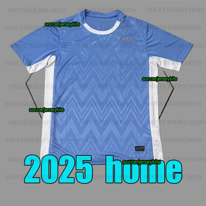 Uruguay jersey 2026 world cup football shirts player long sleeve 2025 national t - SitterJersey.com