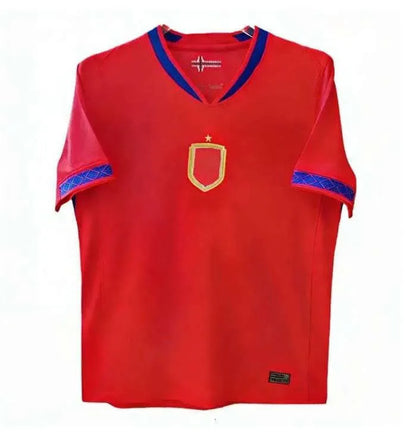 Norway Jersey 2026 World Cup BRAUT HAALAND Soccer Jerseys SORLOTH NUSA AASGAARD  - SitterJersey.com