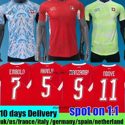 Switzerland National Team World Cup Soccer Jerseys ELVEDI AKANJI ZAKARIA SOW RIE - SitterJersey.com