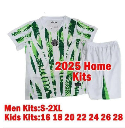 Nigeria Jersey 2026 IHEANACHO AINA Retro 2018 1994 1998 Soccer Jerseys National  - SitterJersey.com