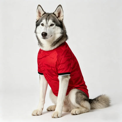 2025 2026 South Korea Soccer New 24 HEUNG MIN SON KANG IN LEE National Team Foot - SitterJersey.com