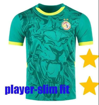 2 Star Senegal Soccer Jerseys 2025 2026 National Team SARR P.M.SARR N.JACKSON DI - SitterJersey.com