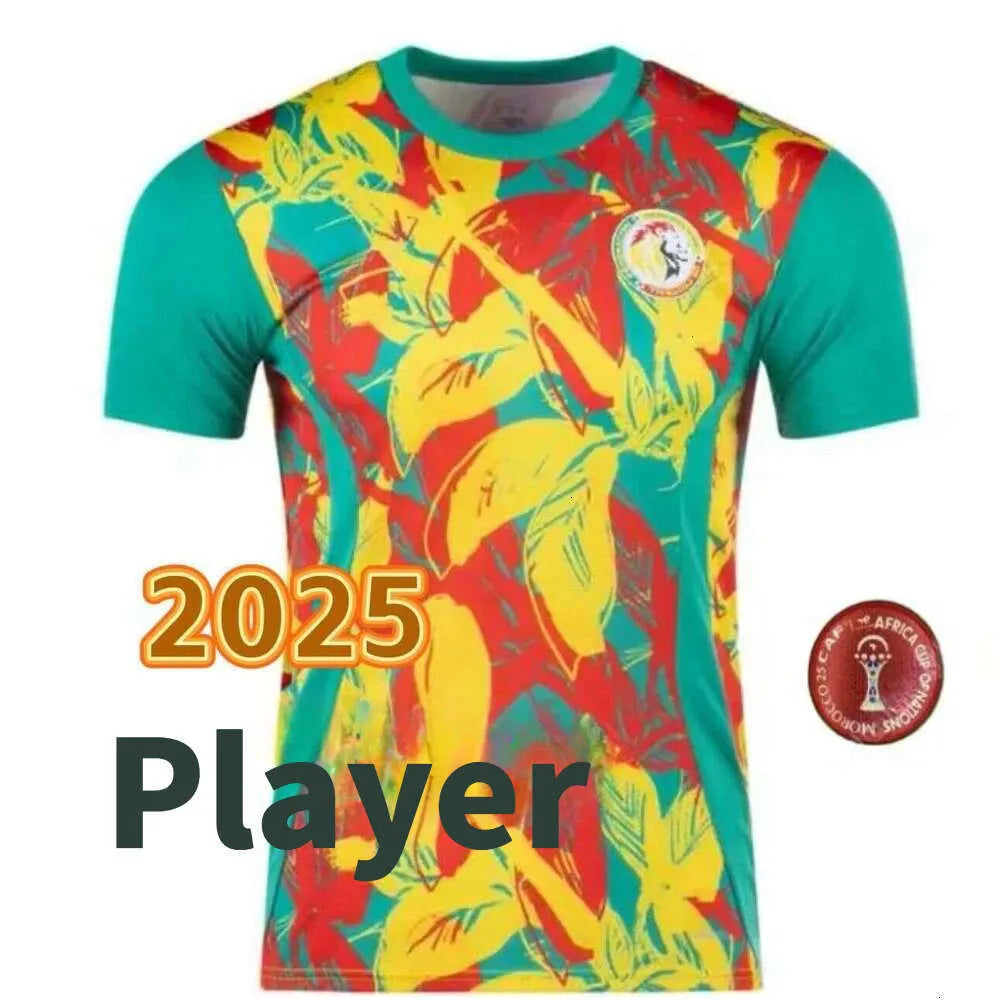 2 Star Senegal Soccer Jerseys 2025 2026 National Team SARR P.M.SARR N.JACKSON DI - SitterJersey.com
